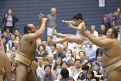 怪力の大砂嵐。