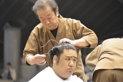 床山の実演、モデルは栃煌山。