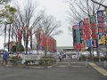 今年は藤沢市市政施行75周年記念の開催です。