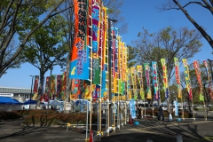 第30回記念　春巡業大相撲藤沢場所