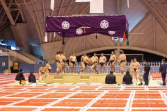 第30回記念　春巡業大相撲藤沢場所