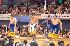 横綱豊昇龍の土俵入り