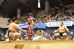 序二段、三段目、幕下の取組が始まりました。