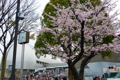 打ち出し、…　また来年もお越しください。