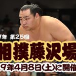平成29年第25回大相撲藤沢場所