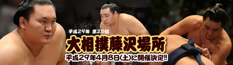 平成29年第25回大相撲藤沢場所