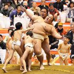 わんぱく相撲出場者募集