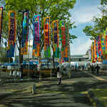 第29回大相撲藤沢場所