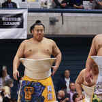 第29回大相撲藤沢場所