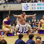 第29回大相撲藤沢場所