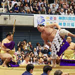 第29回大相撲藤沢場所