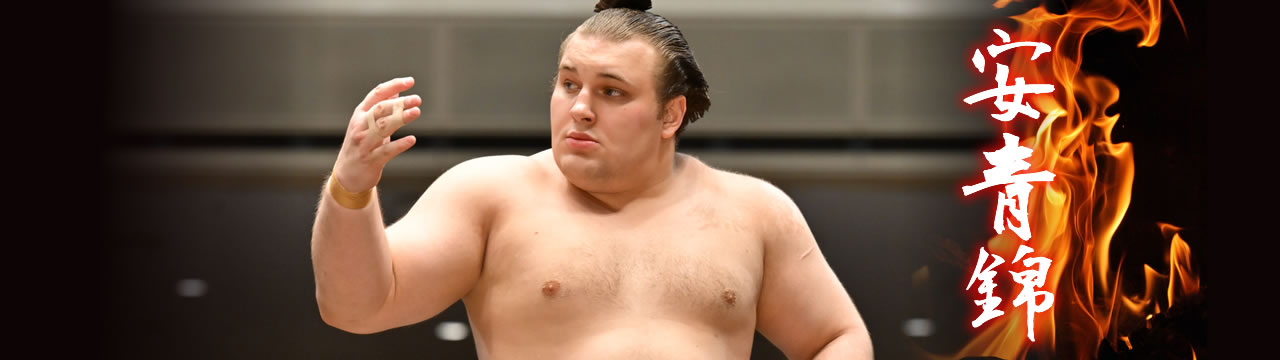 aonishiki2026 安青錦