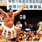 6b881af05ec769a6f5cd17017ccd6481